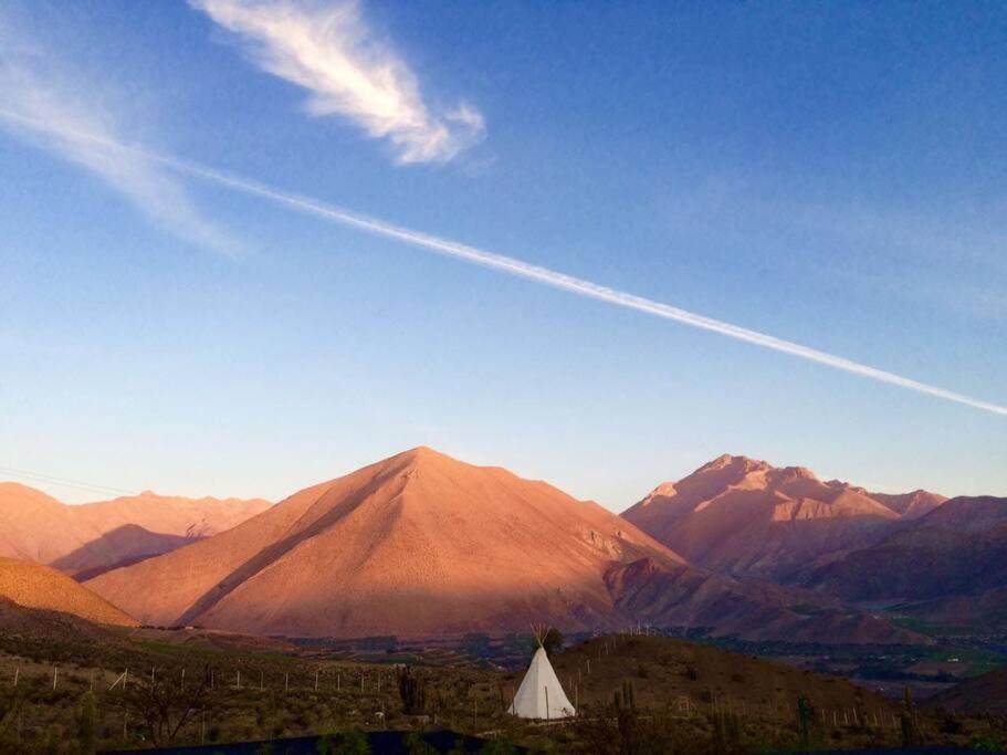 Santuario Cosmico Mamalluca * Vicuna